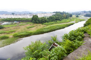 Şehirde yeşil alanı olan nehir manzarası 