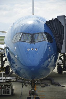 Gündüz vakti Japon Havaalanında Mavi Yolcu uçağı