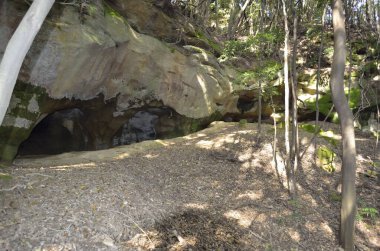 Doğanın güzel manzarası, ormandaki büyük kayalar 