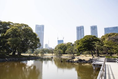 Modern şehir manzarası arka plan görüntüsü, şehir konsepti 