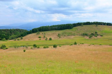 dağlarda yeşil tepeler