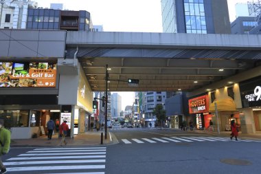osaka, japan - 26 Ekim, 2016: Namba bölgesindeki Dotonbori caddesini geçen insanlar.