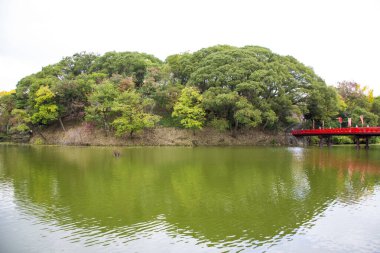 Nehirli parkta güzel bir sonbahar manzarası 