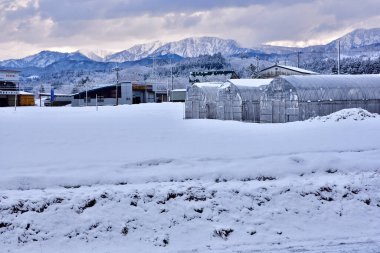 Karlı dağlarla kaplı güzel bir manzara, Japonya