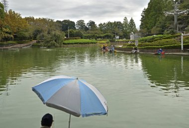 Yaz parkındaki yeşil ağaçlı güzel göl manzarası