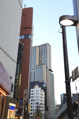 Tokyo, Japonya - 16 Kasım, 2019: Tokyo 'nun ginakginza bölgesinde yürüyen insanlar