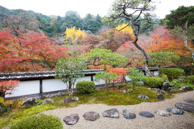 Japon bahçesinde renkli bitkiler ve ağaçlar 
