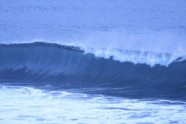 büyük bir dalga deniz