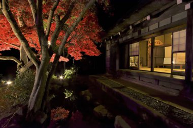 Akçaağaç ağaçları ve eski binalarla güzel bir sonbahar manzarası