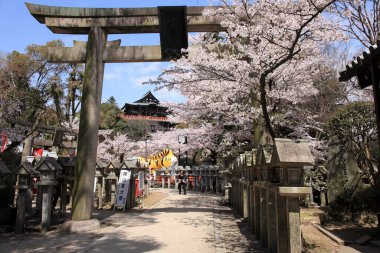 Güzel Japon tapınağı, Budizm ve din kavramı