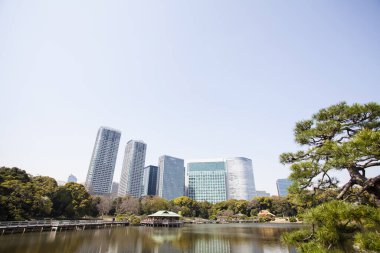 Modern şehir manzarası arka plan görüntüsü, şehir konsepti 