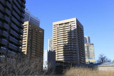 Tokyo, Japonya 'da binaları olan modern şehir manzarası
