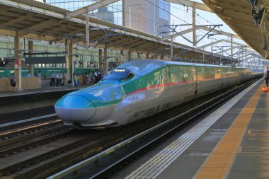 Tokyo tren istasyonuna varan tren, Japonya