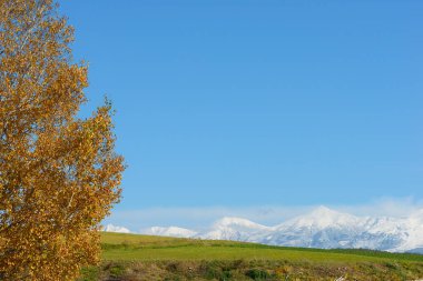 Dağ manzarası, güzel manzara.