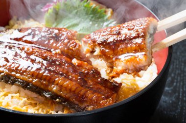 Kızarmış pirinç ve teriyaki soslu yılan balığı.