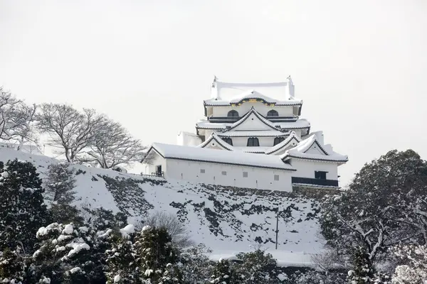Snötäckt Traditionell Japansk Arkitektur — Stockfoto