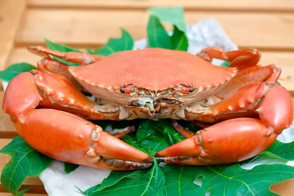 fresh crab for cooking on green leaves