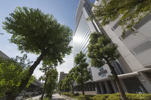 Moderno Edificio Apartamentos Árboles Verdes Tokio Japón — Foto de Stock
