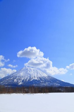 Güzel Fuji Dağı manzarası