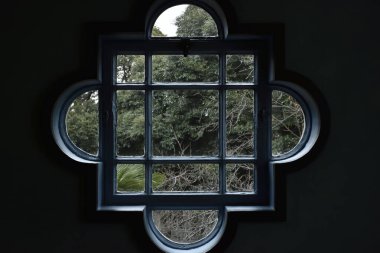 Caddedeki pencere ve yeşil ağaçlar