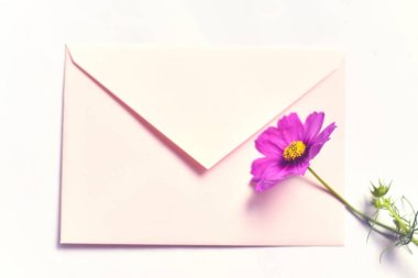 Beyaz arka planda çiçek olan bir zarf. Tebrik kartı için bahar çiçeği arkaplanı