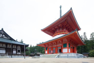 Japonya 'daki Kızıl Tapınak