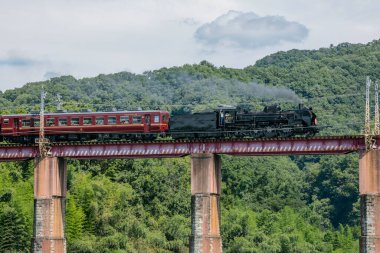 Ormanda bir köprüde tren.  