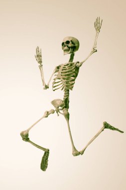 Arka planda korkunç iskelet, cadılar bayramı konsepti