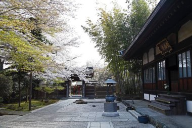 Güzel Japon tapınağı, Budizm ve din kavramı