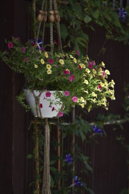 Rengarenk çiçeklerle asılan çiçekçi.