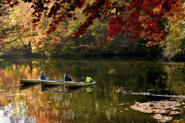 Güzel sonbahar manzara renkli yaprakları ve göl ile