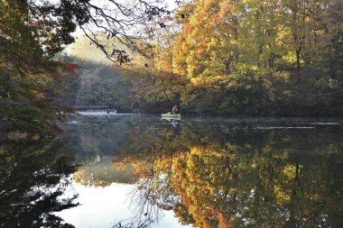 Bir adam ormanda bir gölde yürüyor.