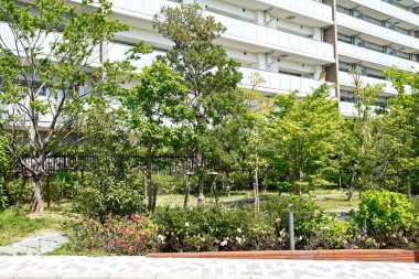 Üç ayrı evin bahçesinde yeşil ağaçlar var. 