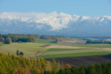 Kışın dağlık vadide karlı tepeler ve yeşil ağaçlar