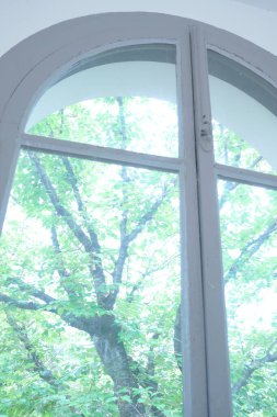 Yaz parkının yeşil yapraklı penceresi