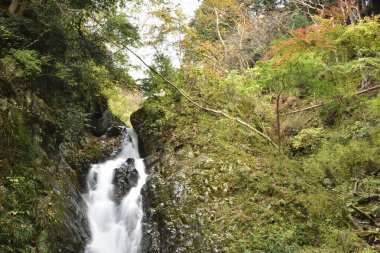 Sonbahar mevsiminde şelale