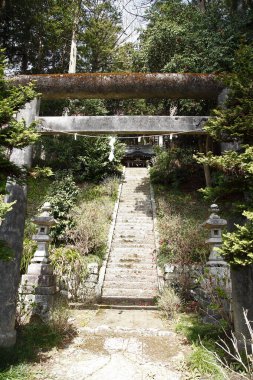 Bahar mevsiminde Japon bahçesi