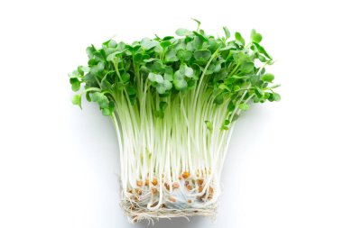 taze organik yeşil turp beyaza izole edilmiş.