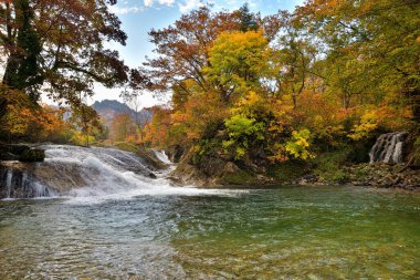 Japonya 'daki ormanda güzel bir şelale.