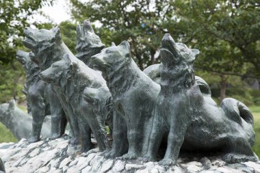 Bronz köpek heykelleri açık havada ağaçların arasında duruyor.