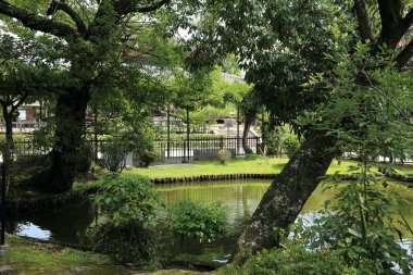 Parkın güzel manzarası