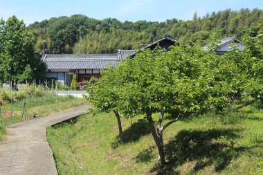 Bahçeli evin manzarası 