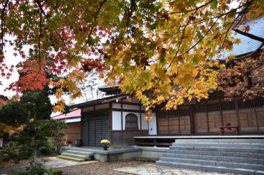 Horenji ana binasında sonbahar tatili