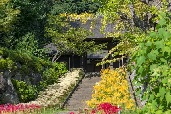 Casa Japonesa Jardim Com Floresta — Fotografia de Stock