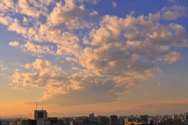 Zonsondergang Boven Tokyo Stad Japans — Stockfoto
