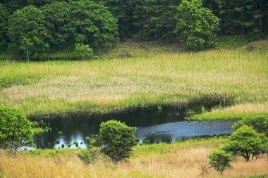 Çayırlarda akan nehirle güzel bir yaz manzarası.