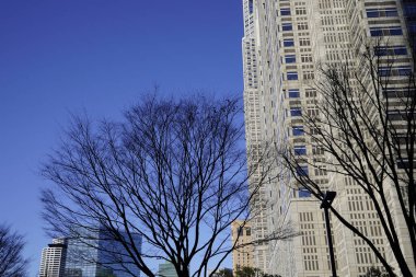 Modern şehir mimarisi, Tokyo, Japonya. Gökdelenler mavi gökyüzüne karşı güneşli bir günde 