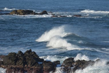 Sahilde dalgalar kırılıyor. 