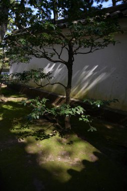 Şehir bahçesinin güzel manzarası 