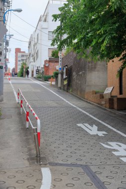 Tokyo şehri yazın Japonya manzarası.